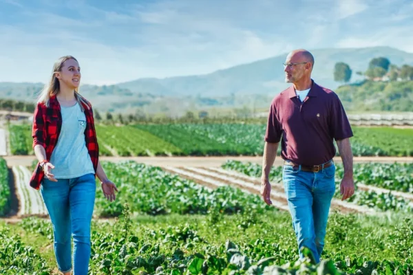Recrutamento executivo no agronegócio: como estruturar uma busca de liderança